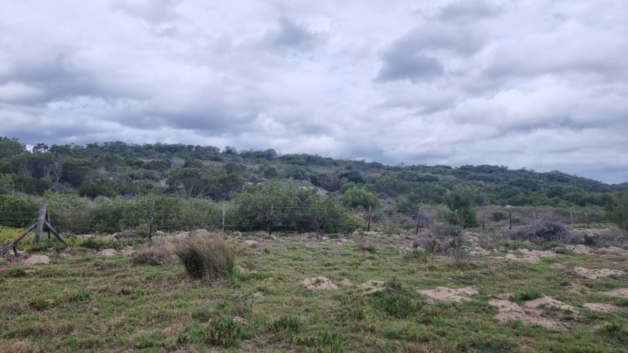 3 Bedroom Property for Sale in Albertinia Western Cape